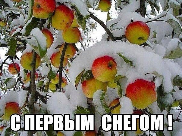 Покров Пресвятой Богородицы отмечается 14 октября 2021 года