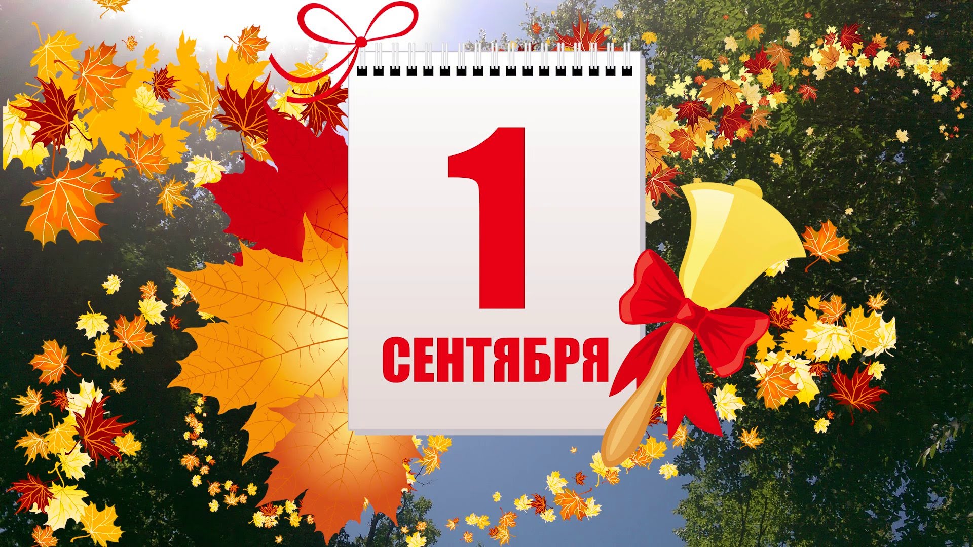 Видеоролик 