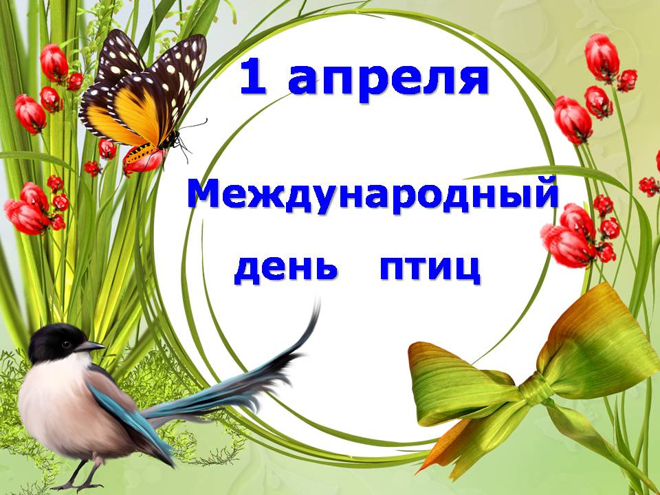 «Наши пернатые друзья».