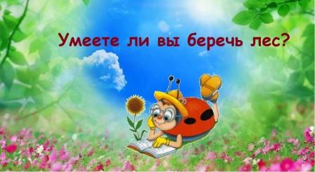Умеете ли вы беречь лес?