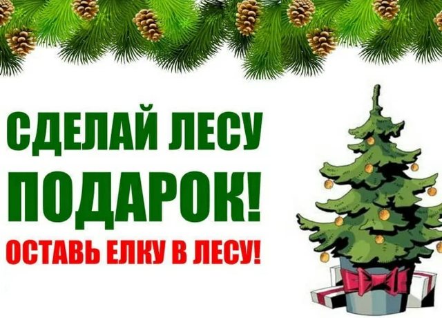 Экологический час