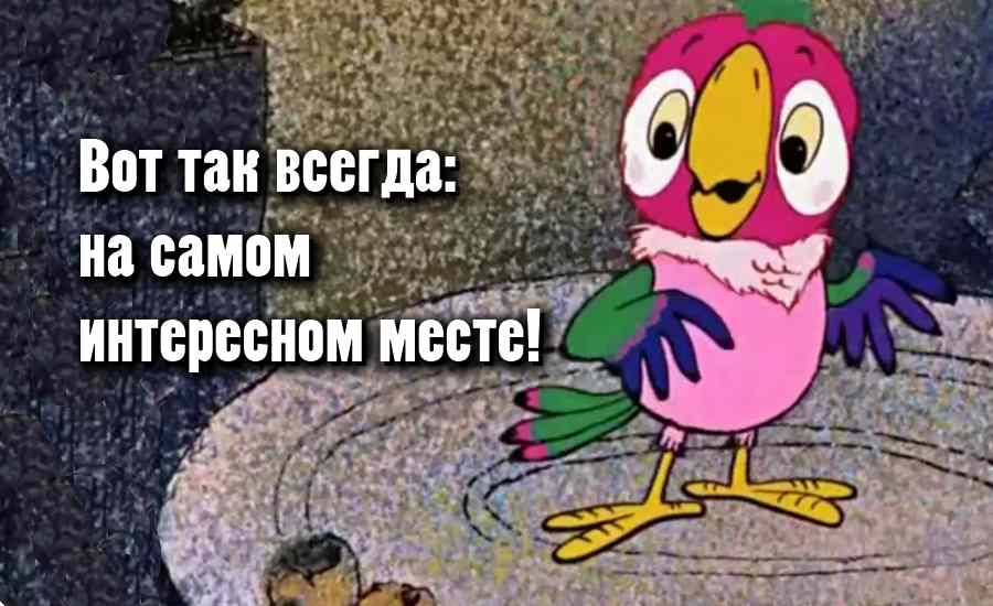 Юдановский ДК. Попугаи - удивительные домашние животные.