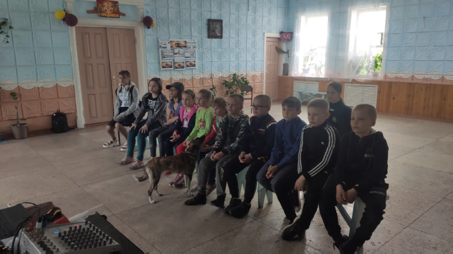 «Моя тихая малая Родина»
