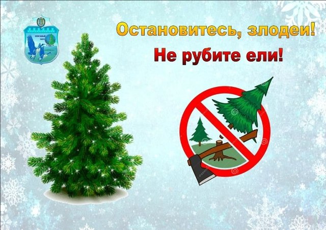 Экологический час "Пусть ёлочки растут в лесу" Экологический час