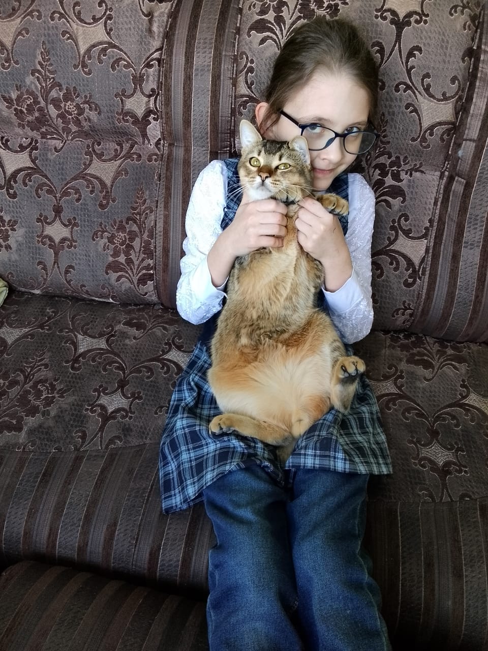 Праздник кошек 