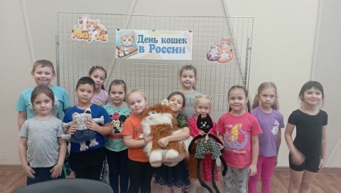 Развлекательная программа 