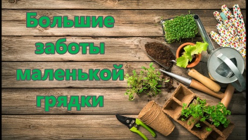 Большие заботы маленькой грядки Большие заботы маленькой грядки