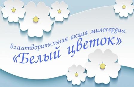 Белый цветок
