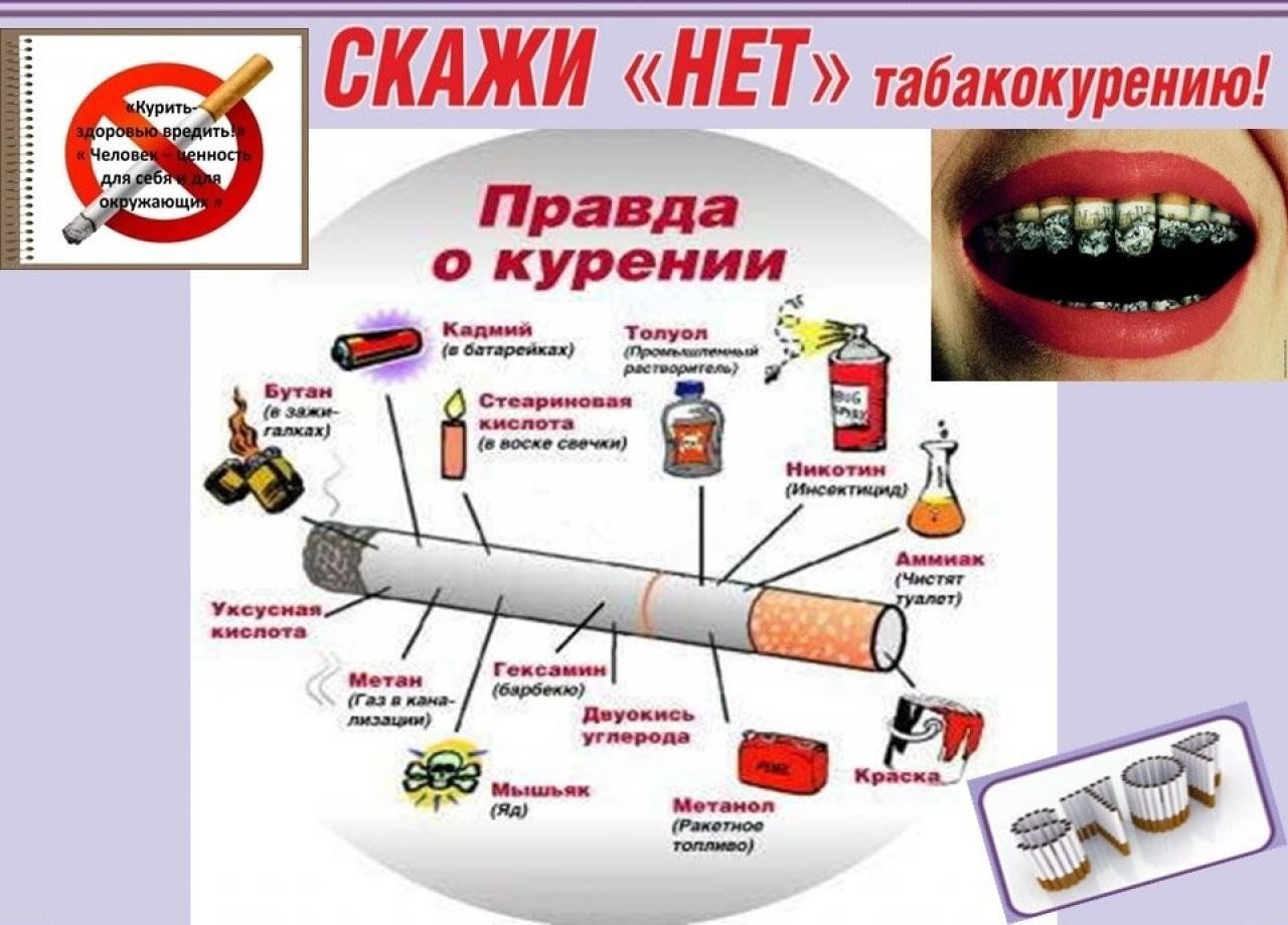 Просветительная программа