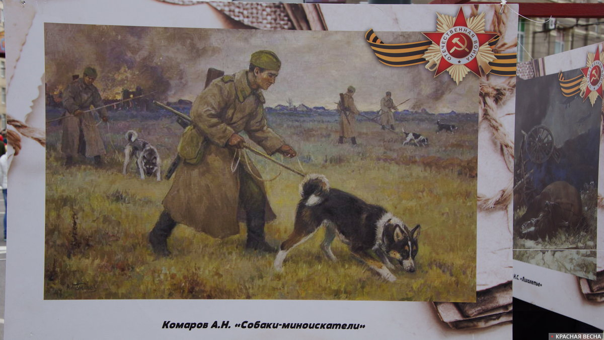 ОТКРЫТИЕ ВЫСТАВКИ «СОЛДАТЫ НАШИ МЕНЬШИЕ»