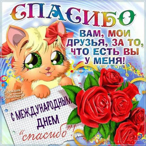 Познавательная программа 