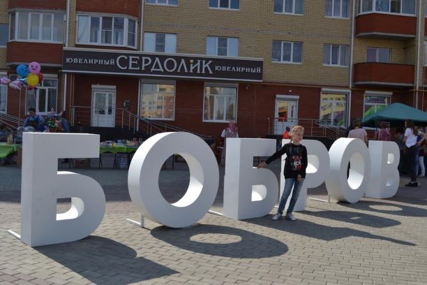 Бобровский район 