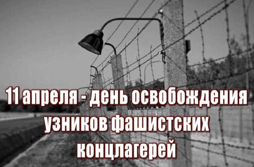 Международный день освобождения узников фашистских концлагерей Международный день освобождения узников фашистских концлагерей