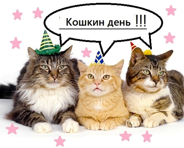 Праздник кошек "Мой любимый Котофейка" Праздник кошек