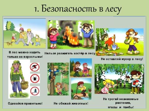 Информационный час
