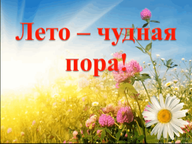 Конкурсно - развлекательная программа 