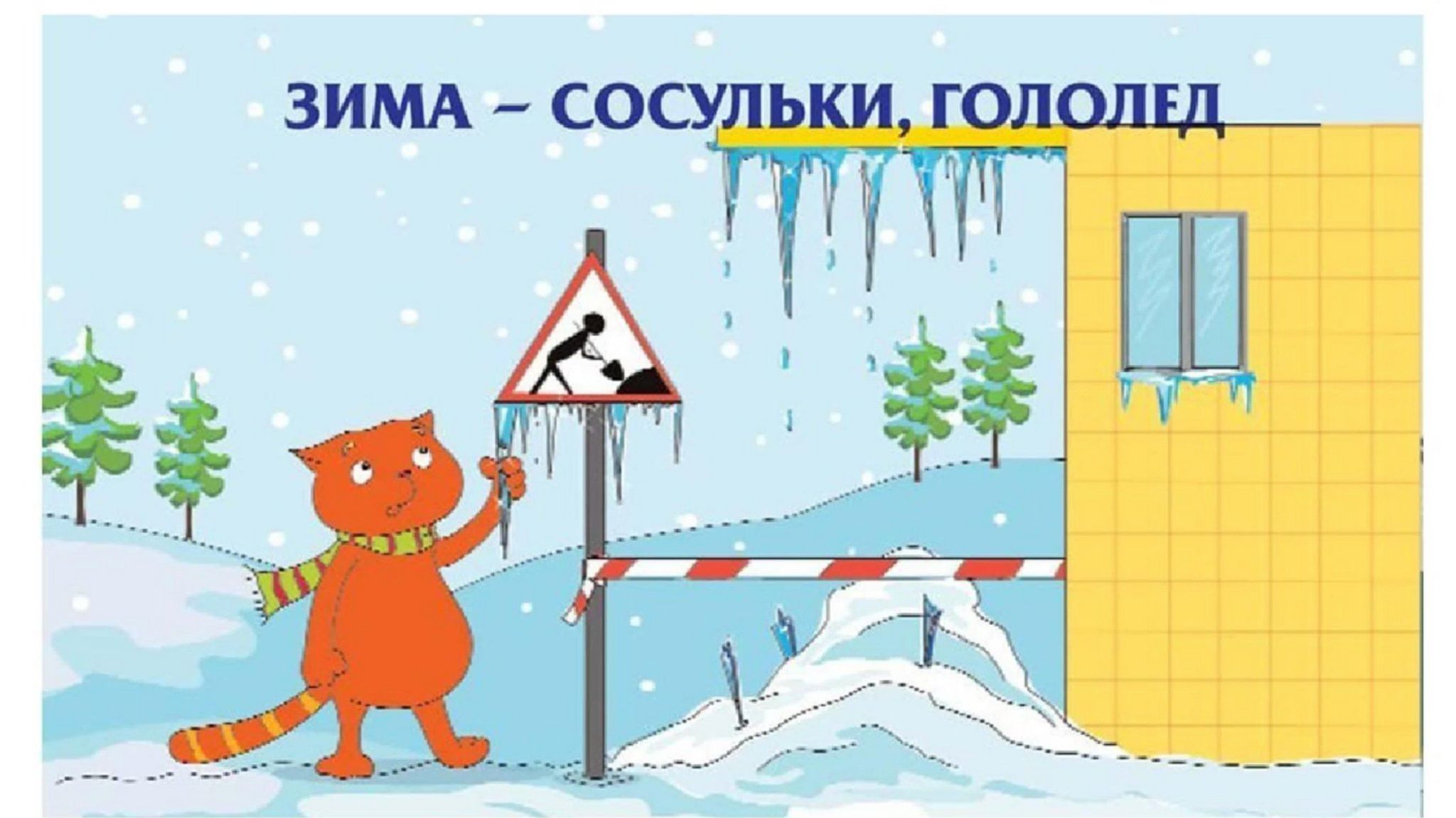Познавательная программа 