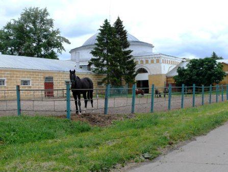 Тематическая программа «Мой край отеческий, моя глубинка»