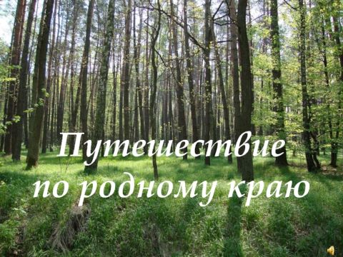 Час краеведения 