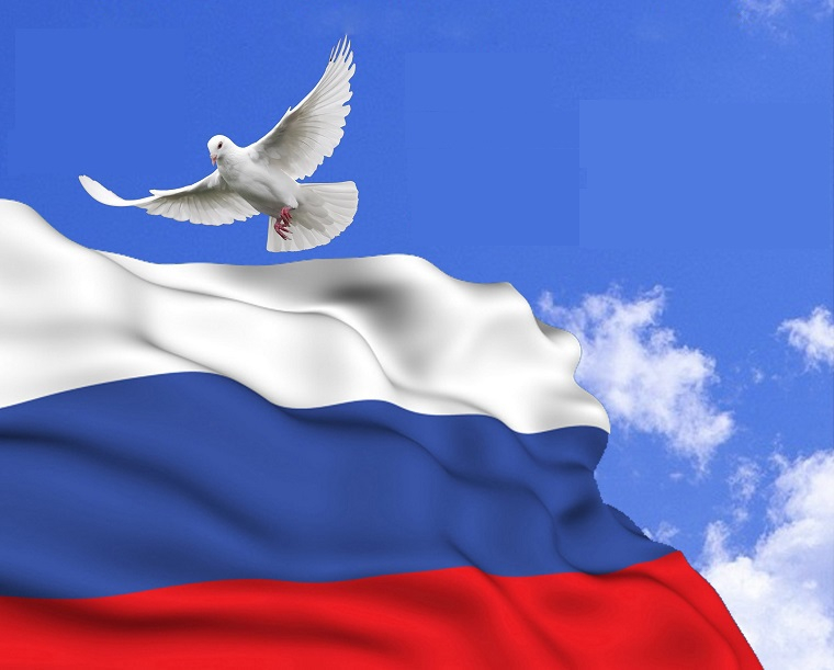 «Флаг России — символ государственности»