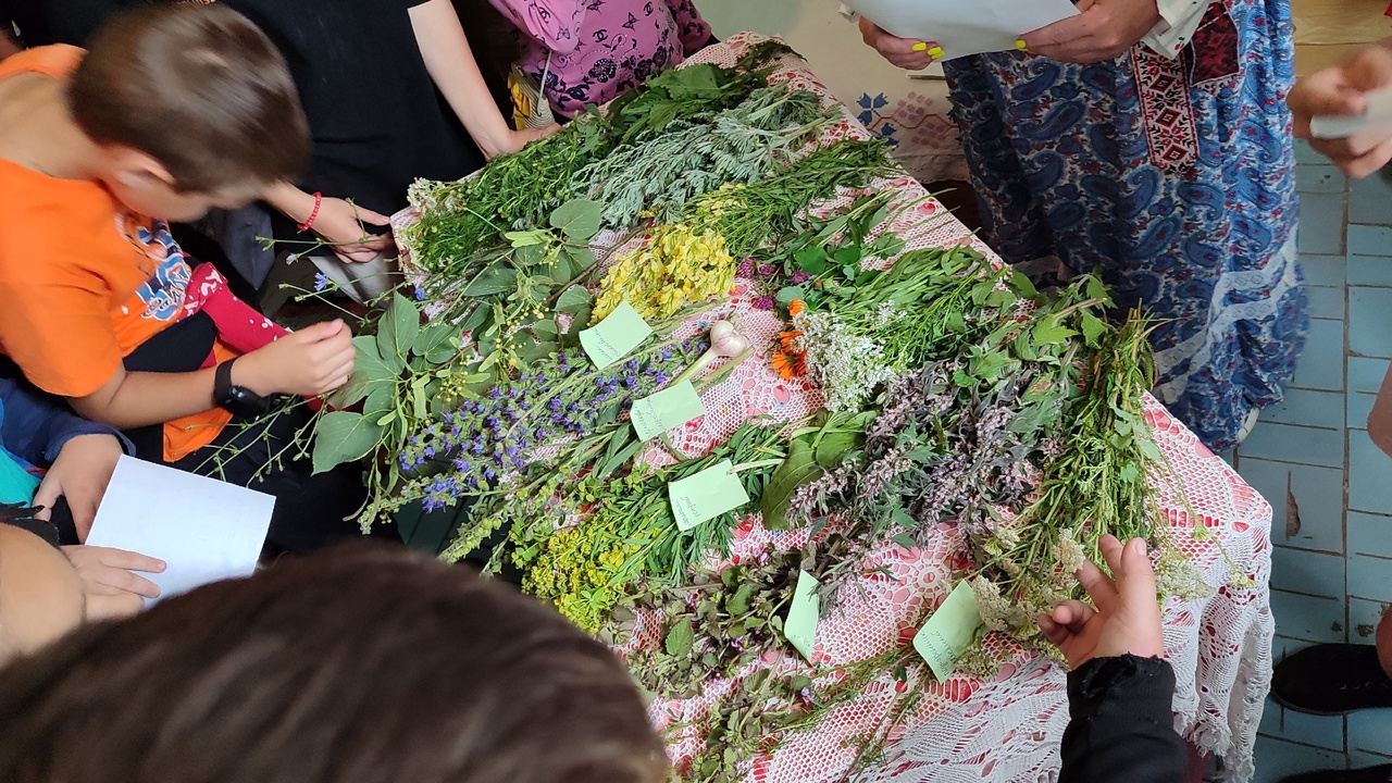 «В гостях у травницы» 
