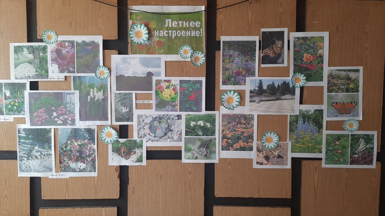 Фото-выставка: животные, насекомые, растения – «Чудеса природы»