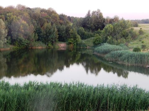Фото - конкурс 