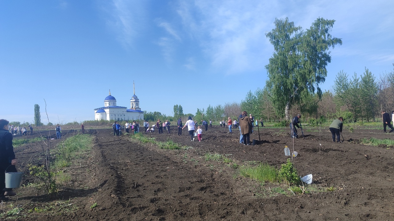  «Сад Победы»
