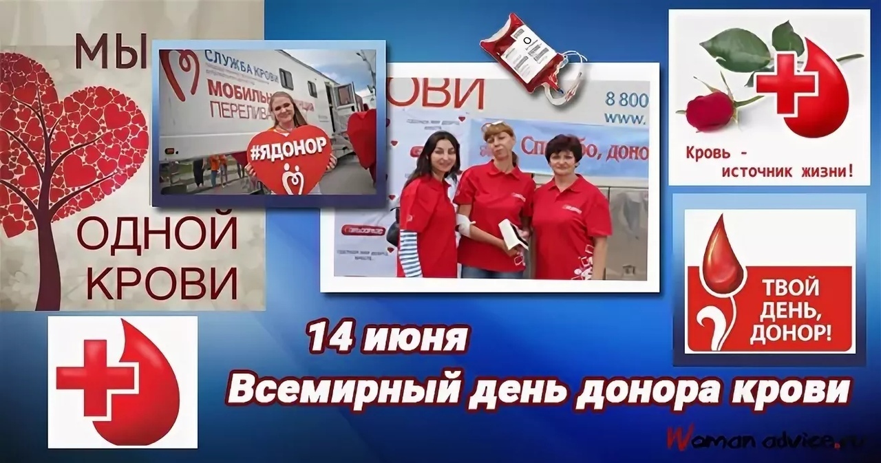 Всемирный день донора крови  «Спаси жизнь!» 