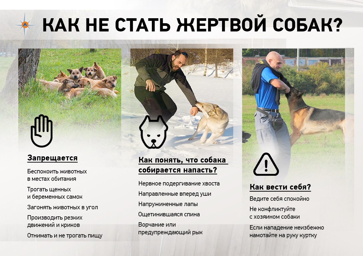 Информационный час