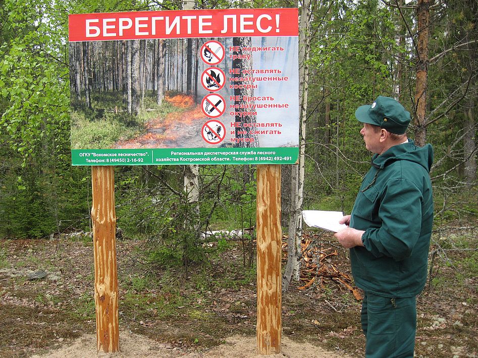 «Лес наше богатство». 