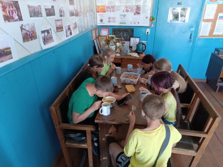 «Мед природный целитель»