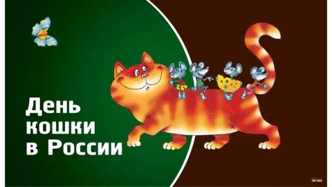 День кошек 