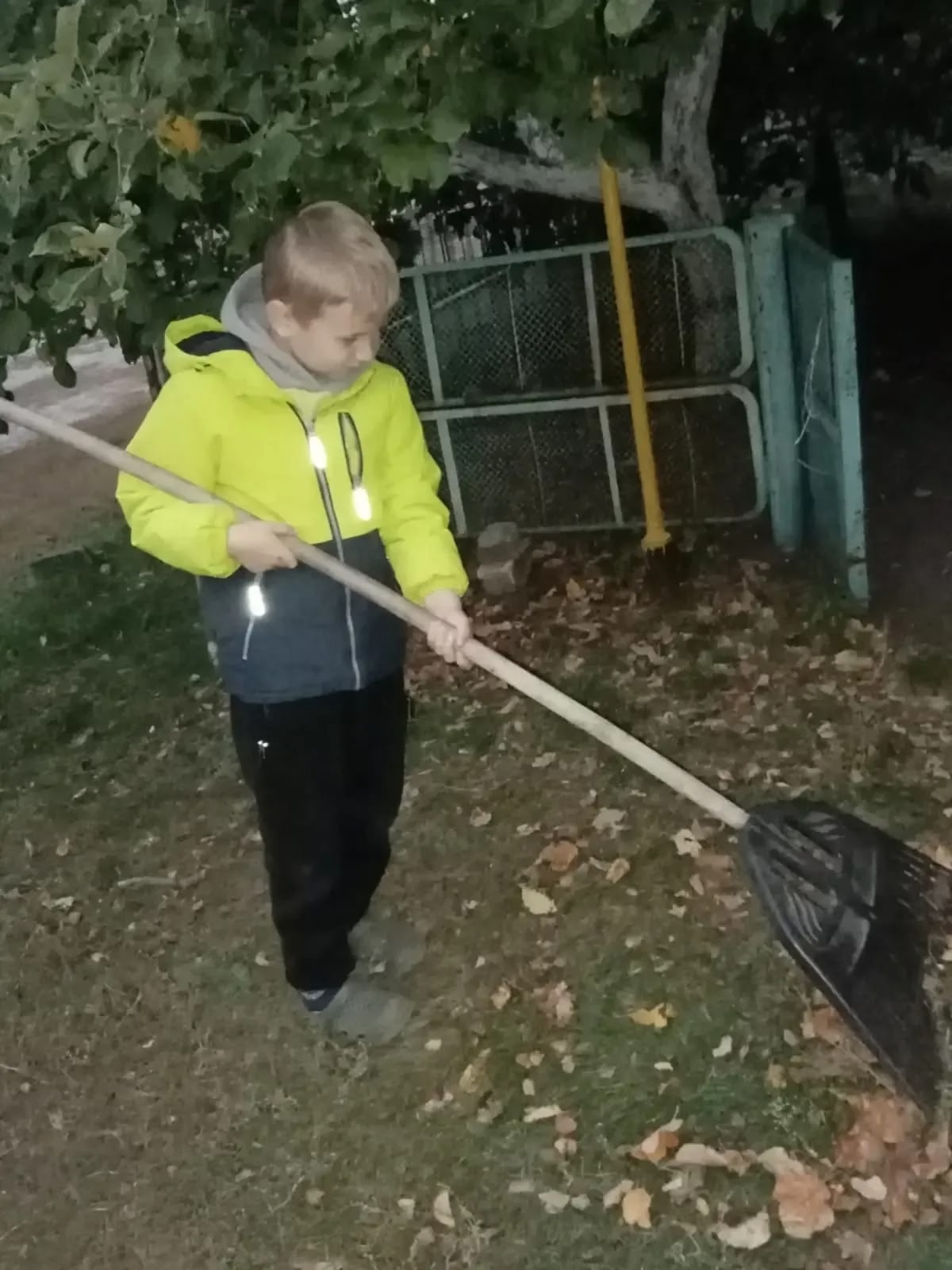 Акция 