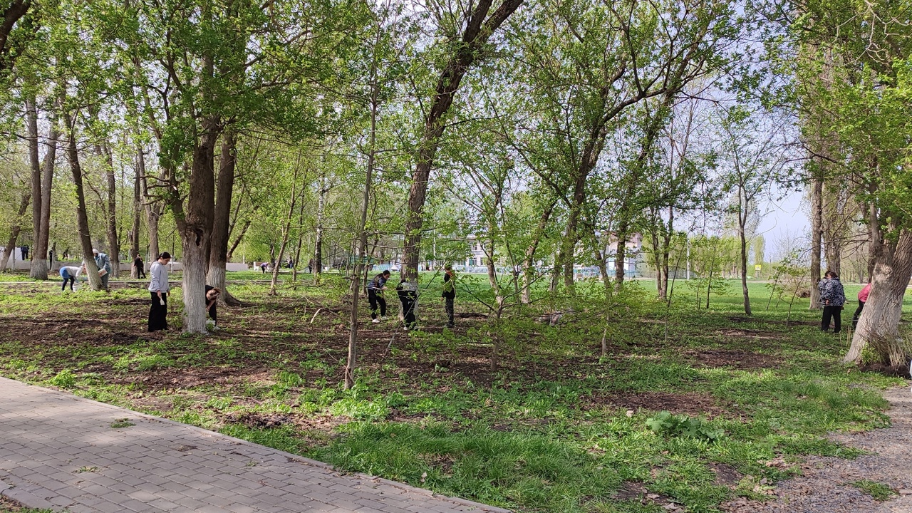 «Семейный субботник»