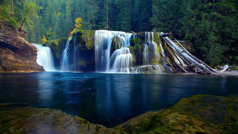 Всемирный День воды
