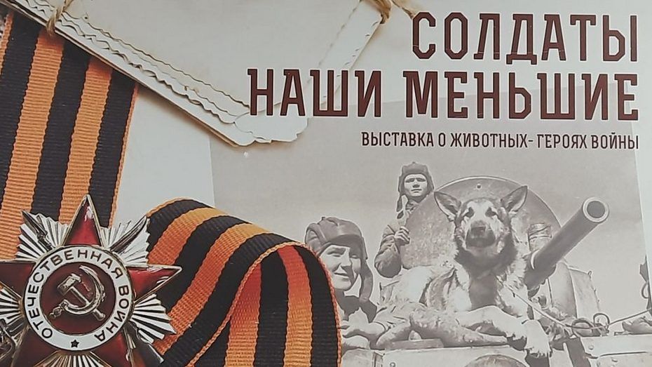 ОТКРЫТИЕ ВЫСТАВКИ «СОЛДАТЫ НАШИ МЕНЬШИЕ»