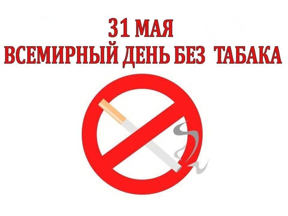 Просветительская программа 