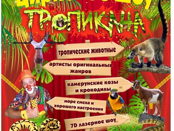 Цирковое шоу "Тропикана" Цирковое шоу