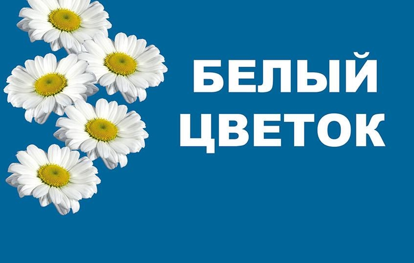 Благотворительная ярмарка «Белый цветок» Благотворительная ярмарка «Белый цветок»