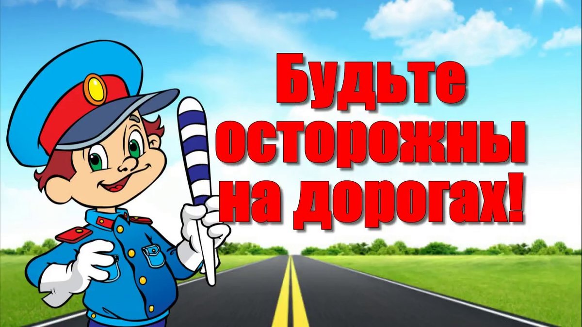 Познавательная программа «Гуляй по улице с умом»