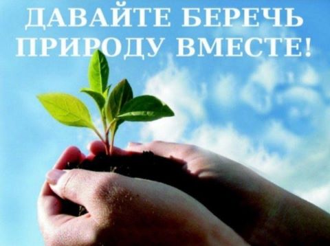 Экологический час