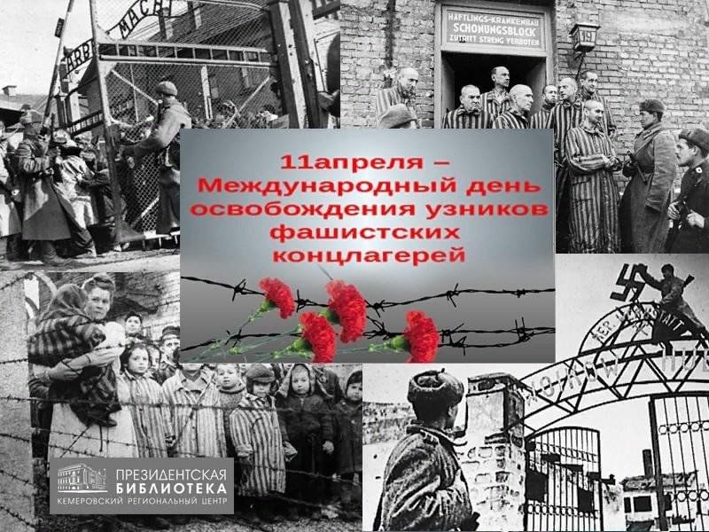 Тематическая программа «Память сердца»