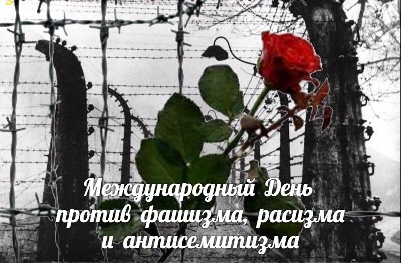 «Мир - без фашизма и терроризма»