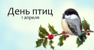 «Пернатые – хвостатые»