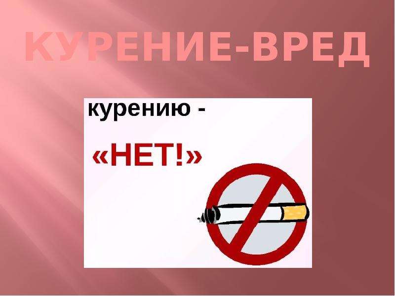 «Твоё здоровье в твоих руках».