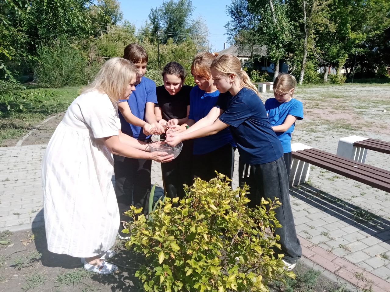 «Капля жизни»
