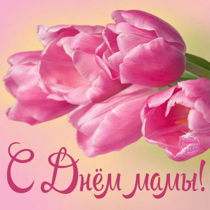 Конкурс стихов ко Дню матери