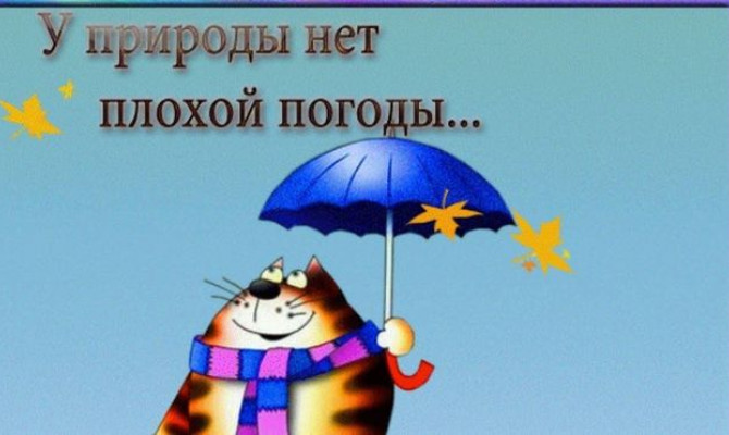 Тематическая программа