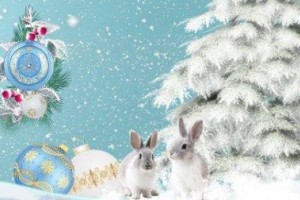 «По сугробам белоснежным год Кролика бежит»